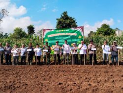 Polsek Caringin Tanam Jagung Hibrida untuk Dukung Swasembada Pangan