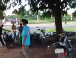 Gempa 6,4 Magnitudo Guncang Sarmi Papua, BMKG Pastikan Tak Ada Tsunami