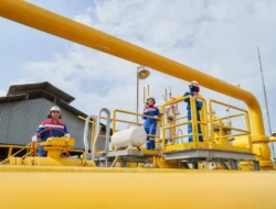 Ada Pabrik yang Berhenti Produksi Gara-Gara PGN Batasi Pasokan Gas