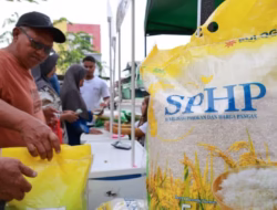 Pengamat: Cadangan Beras Melimpah Harus Diiringi Penyaluran Masif
