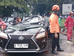 Hujan Deras & Angin Kencang, Mobil Lexus Tertimpa Pohon di Pondok Indah, Pengemudi Tewas