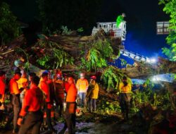 Dedie Rachim Tinjau Dampak Hujan dan Angin Kencang di Beberapa Titik Kota Bogor