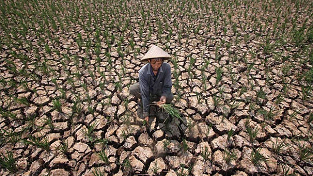 Dunia Waspadai El Nino, Ancaman Baru bagi Pasar Energi Global
